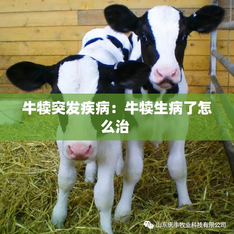 牛犢突發(fā)疾?。号偕×嗽趺粗?