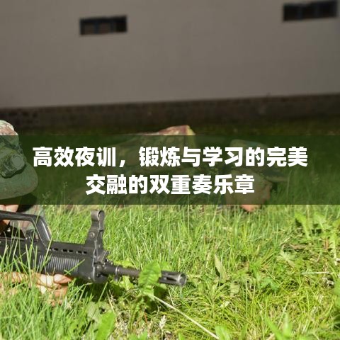 高效夜訓(xùn)，鍛煉與學(xué)習(xí)的完美交融的雙重奏樂(lè)章