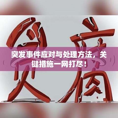 突發(fā)事件應(yīng)對(duì)與處理方法，關(guān)鍵措施一網(wǎng)打盡！