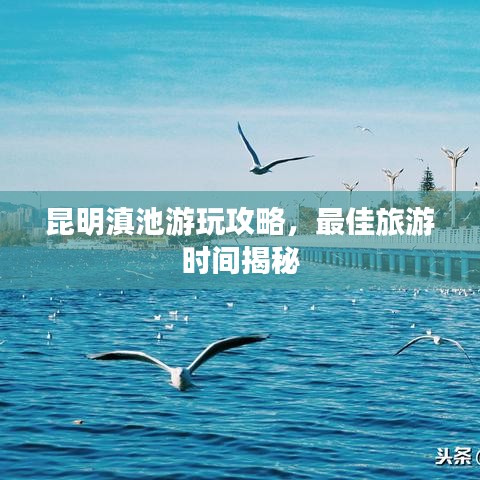 昆明滇池游玩攻略，最佳旅游時間揭秘