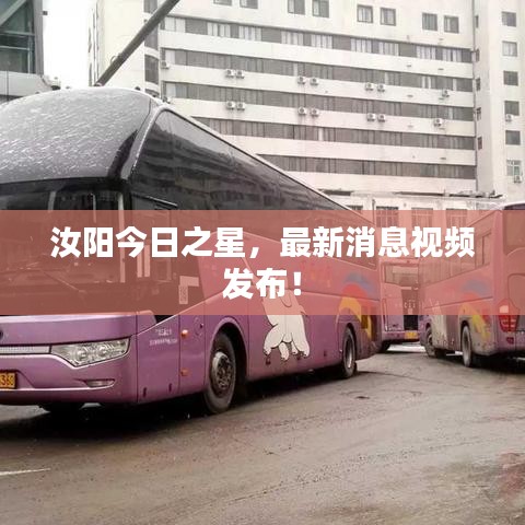 汝陽今日之星，最新消息視頻發(fā)布！