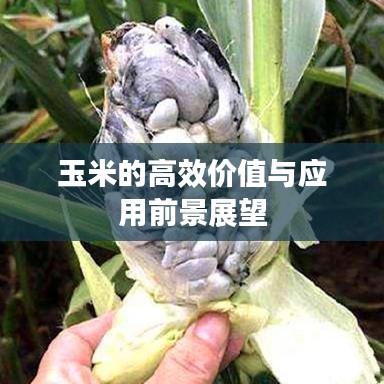 雅量高致 第2頁