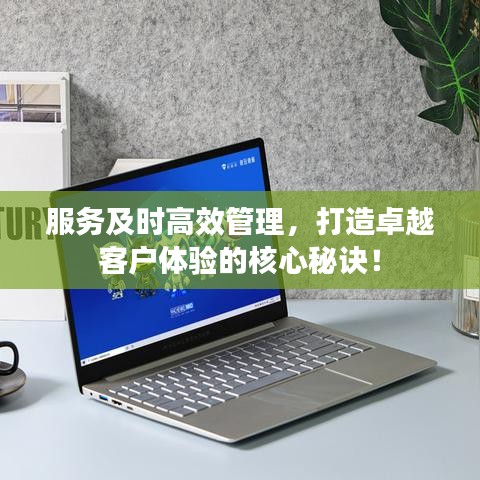 服務(wù)及時高效管理，打造卓越客戶體驗的核心秘訣！