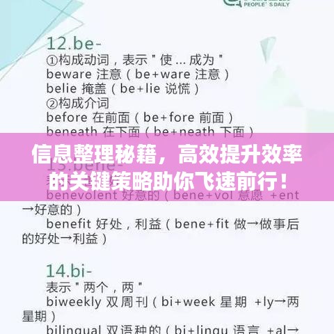 信息整理秘籍，高效提升效率的關(guān)鍵策略助你飛速前行！