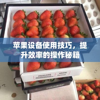 蘋(píng)果設(shè)備使用技巧，提升效率的操作秘籍