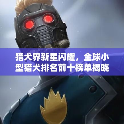 獵犬界新星閃耀，全球小型獵犬排名前十榜單揭曉！