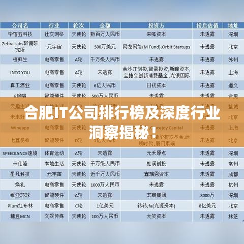 合肥IT公司排行榜及深度行業(yè)洞察揭秘！