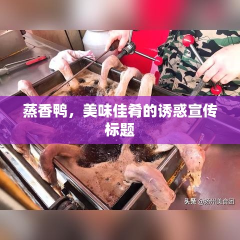 蒸香鴨，美味佳肴的誘惑宣傳標(biāo)題