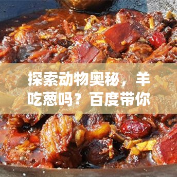 探索動物奧秘，羊吃蔥嗎？百度帶你揭秘自然世界！