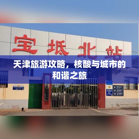 天津旅游攻略，核酸與城市的和諧之旅