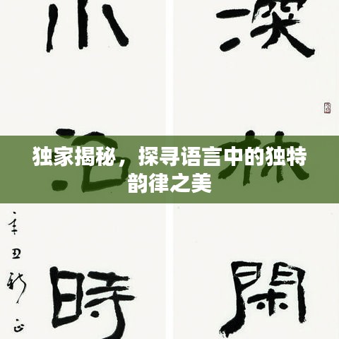 獨家揭秘，探尋語言中的獨特韻律之美