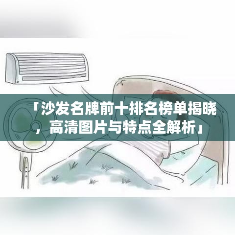 「沙發(fā)名牌前十排名榜單揭曉，高清圖片與特點(diǎn)全解析」
