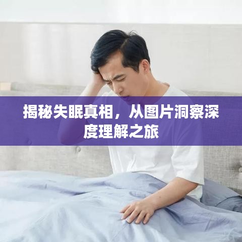 避難就易 第2頁(yè)