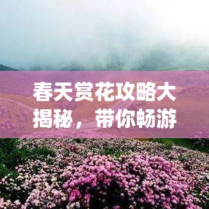 春天賞花攻略大揭秘，帶你暢游花海世界！