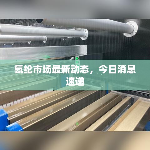氨綸市場最新動態(tài)，今日消息速遞