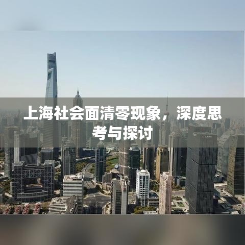 上海社會(huì)面清零現(xiàn)象，深度思考與探討