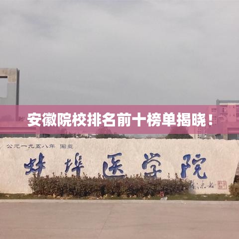 安徽院校排名前十榜單揭曉！