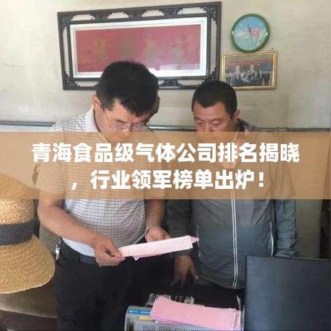 青海食品級氣體公司排名揭曉，行業(yè)領(lǐng)軍榜單出爐！
