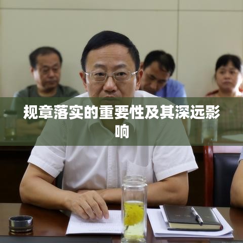 規(guī)章落實的重要性及其深遠影響