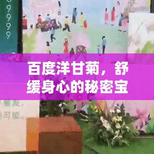 百度洋甘菊，舒緩身心的秘密寶藏，全網(wǎng)熱議熱議熱議！