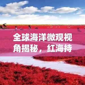 全球海洋微觀視角揭秘，紅海持續(xù)擴(kuò)張的神秘力量