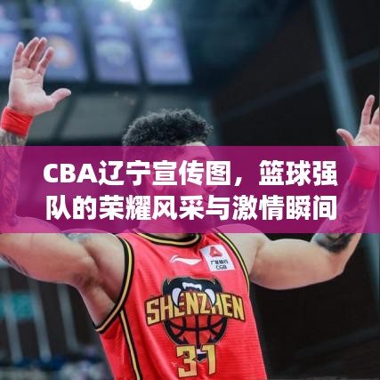 CBA遼寧宣傳圖，籃球強(qiáng)隊(duì)的榮耀風(fēng)采與激情瞬間