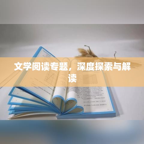 文學(xué)閱讀專題，深度探索與解讀