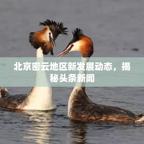 北京密云地區(qū)新發(fā)展動態(tài)，揭秘頭條新聞