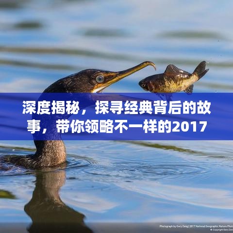 深度揭秘，探尋經(jīng)典背后的故事，帶你領(lǐng)略不一樣的2017年