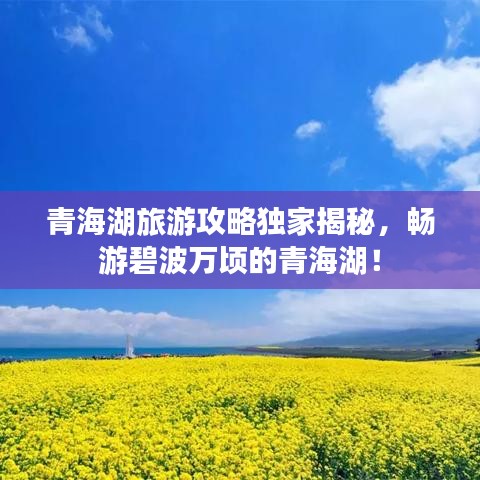 青海湖旅游攻略獨家揭秘，暢游碧波萬頃的青海湖！