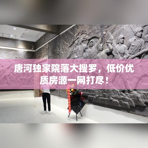 唐河獨(dú)家院落大搜羅，低價(jià)優(yōu)質(zhì)房源一網(wǎng)打盡！