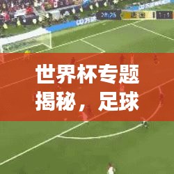 世界杯專題揭秘，足球盛宴背后的故事與傳奇之旅