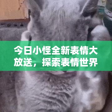 今日小怪全新表情大放送，探索表情世界的無限魅力！