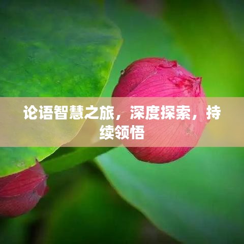 論語智慧之旅，深度探索，持續(xù)領(lǐng)悟