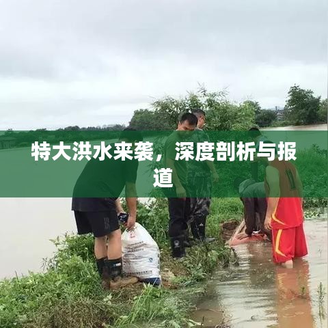 特大洪水來襲，深度剖析與報(bào)道