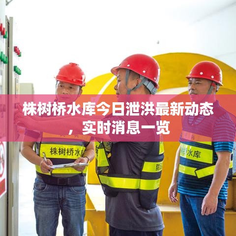 株樹橋水庫今日泄洪最新動態(tài)，實時消息一覽