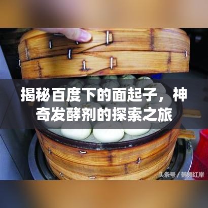 揭秘百度下的面起子，神奇發(fā)酵劑的探索之旅