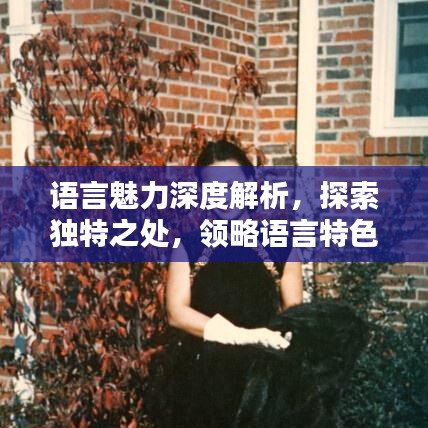 語言魅力深度解析，探索獨特之處，領略語言特色專題的魅力