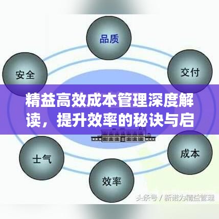 精益高效成本管理深度解讀，提升效率的秘訣與啟示