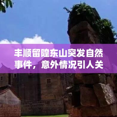 豐順留隍東山突發(fā)自然事件，意外情況引人關(guān)注