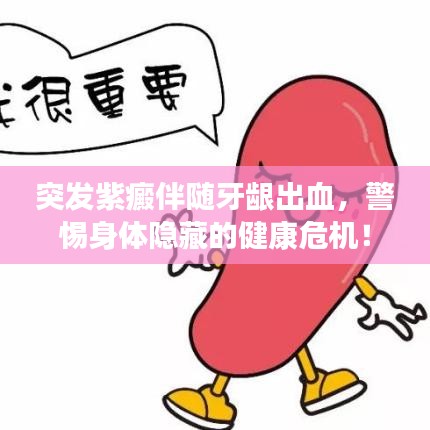 突發(fā)紫癜伴隨牙齦出血，警惕身體隱藏的健康危機！