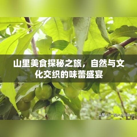 山里美食探秘之旅，自然與文化交織的味蕾盛宴