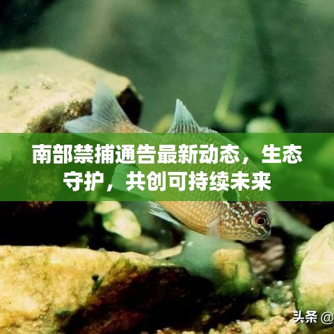 南部禁捕通告最新動態(tài)，生態(tài)守護，共創(chuàng)可持續(xù)未來