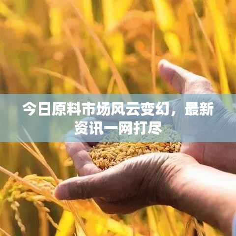 今日原料市場風云變幻，最新資訊一網(wǎng)打盡