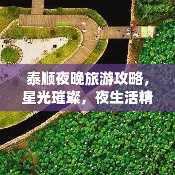 泰順夜晚旅游攻略，星光璀璨，夜生活精彩紛呈！
