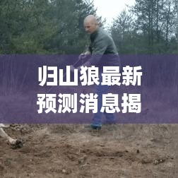 歸山狼最新預(yù)測消息揭秘，今日運(yùn)勢大揭秘