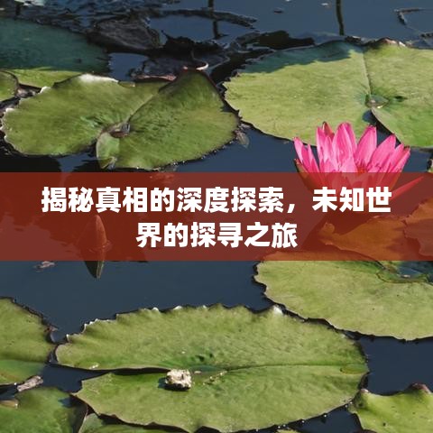 揭秘真相的深度探索，未知世界的探尋之旅