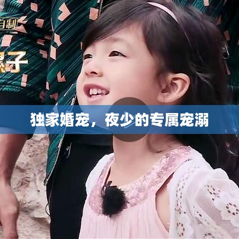 獨(dú)家婚寵，夜少的專屬寵溺