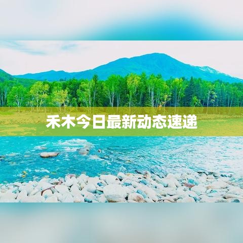 禾木今日最新動(dòng)態(tài)速遞