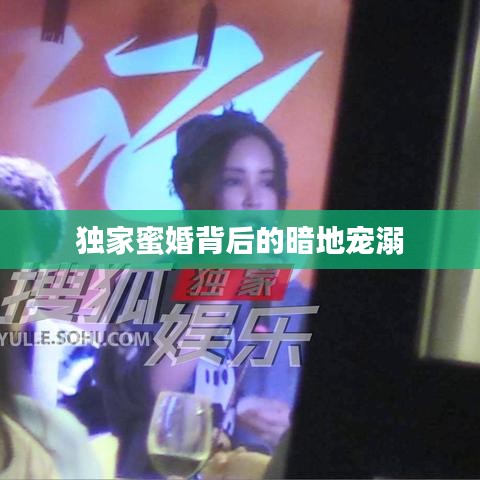 獨(dú)家蜜婚背后的暗地寵溺